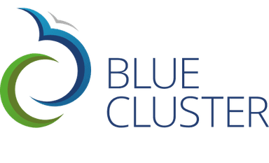 logo Blauwe Cluster