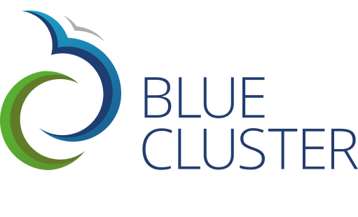 logo Blauwe Cluster